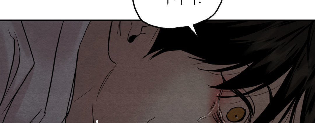 page 219