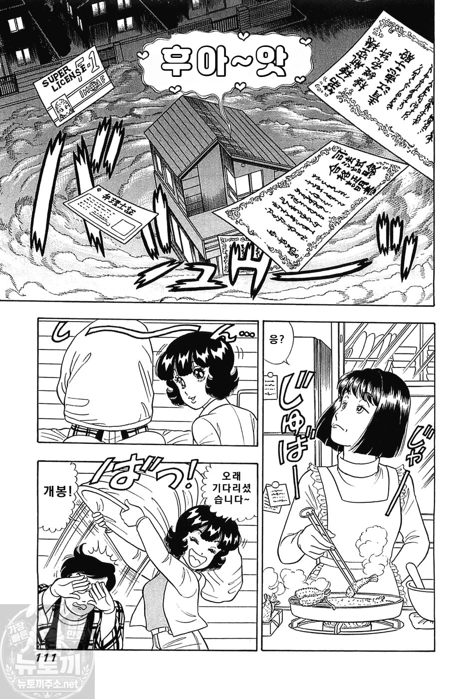 page 111