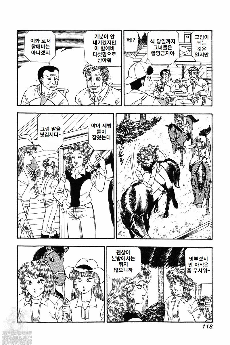 page 118