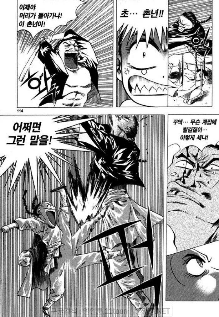 page 113
