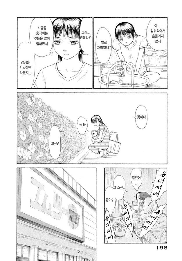 page 197