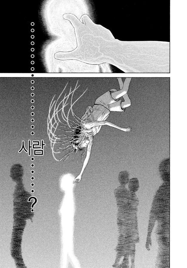 page 233