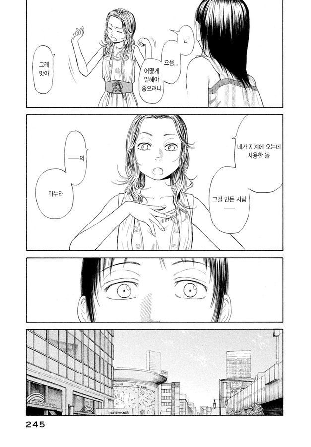 page 243