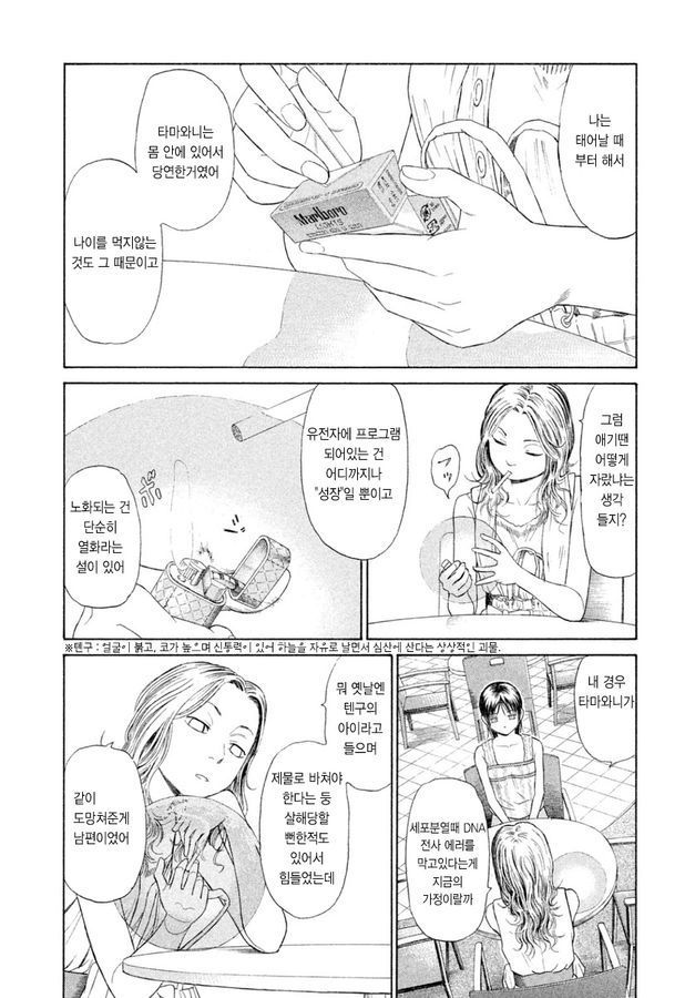 page 246