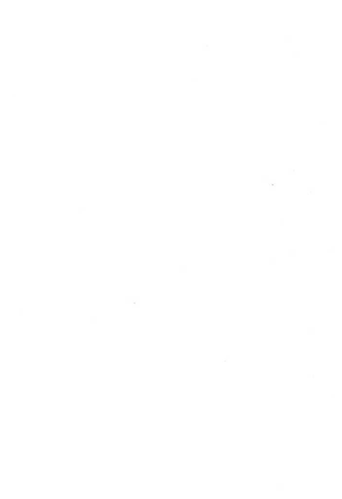 page 251