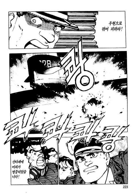 page 224