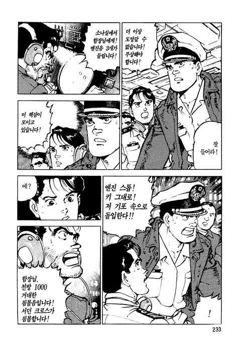 page 234
