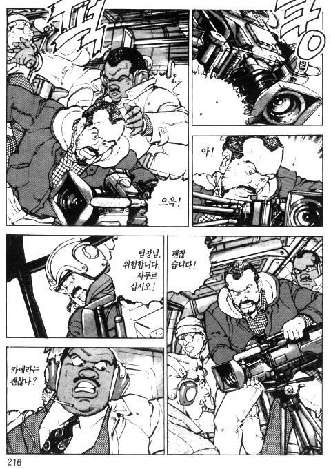 page 217