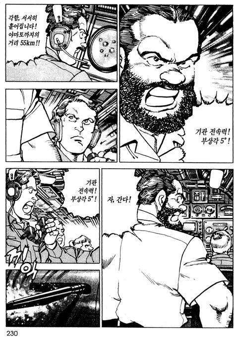 page 231