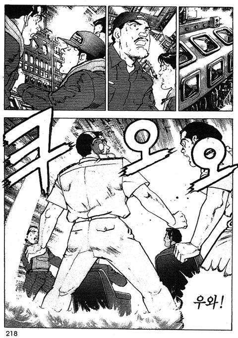 page 219